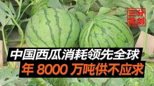 长春最新吃瓜事件爆料是真的吗,真相揭秘还是网络谣言? 第3张 长春最新吃瓜事件爆料是真的吗,真相揭秘还是网络谣言? 第3张