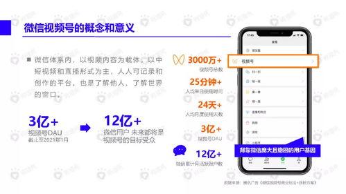 热心网友吃瓜视频下载免费,轻松获取热门内容！  第3张
