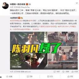 天涯爆料出轨细节视频大全,出轨细节视频大盘点，揭秘婚姻危机背后的真相